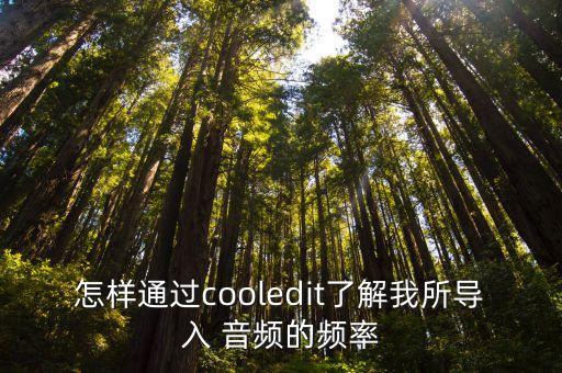 音頻分析軟件,手機(jī)音頻分析軟件