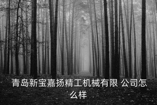 青島非標(biāo)自動(dòng)化線制作公司