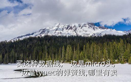 買這種數(shù)據(jù)線,一邊是micro頭,一邊是typec的彈簧線,哪里有賣