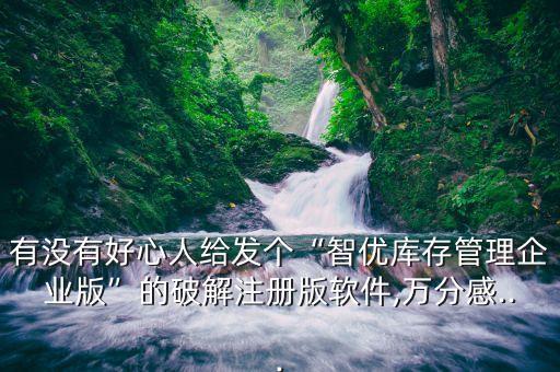 有沒有好心人給發(fā)個“智優(yōu)庫存管理企業(yè)版”的破解注冊版軟件,萬分感...