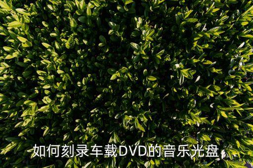 如何刻錄車載DVD的音樂光盤