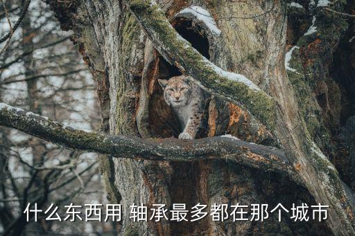 蘇州軸承設備自動化,蘇州美儀自動化設備有限公司