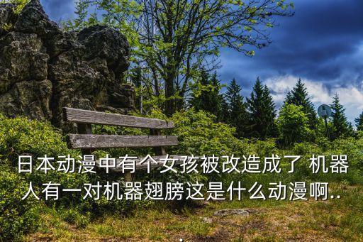 日本動(dòng)漫中有個(gè)女孩被改造成了 機(jī)器人有一對(duì)機(jī)器翅膀這是什么動(dòng)漫啊...