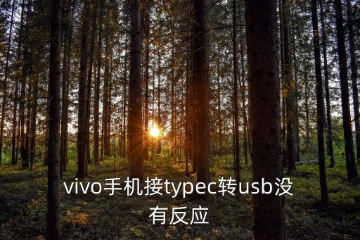 vivo手機(jī)接typec轉(zhuǎn)usb沒有反應(yīng)