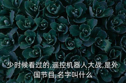 少時(shí)候看過(guò)的,遙控機(jī)器人大戰(zhàn),是外國(guó)節(jié)目,名字叫什么