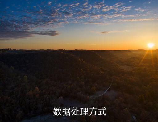  數(shù)據(jù)處理方式