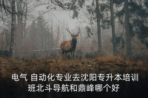  電氣 自動化專業(yè)去沈陽專升本培訓(xùn)班北斗導(dǎo)航和鼎峰哪個好