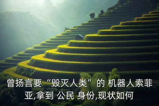 曾揚(yáng)言要“毀滅人類(lèi)”的 機(jī)器人索菲亞,拿到 公民 身份,現(xiàn)狀如何