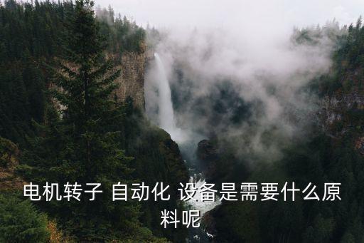 電機(jī)轉(zhuǎn)子 自動化 設(shè)備是需要什么原料呢