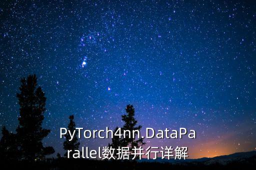 PyTorch4nn.DataParallel數(shù)據(jù)并行詳解