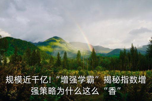 規(guī)模近千億!“增強學(xué)霸”揭秘指數(shù)增強策略為什么這么“香”