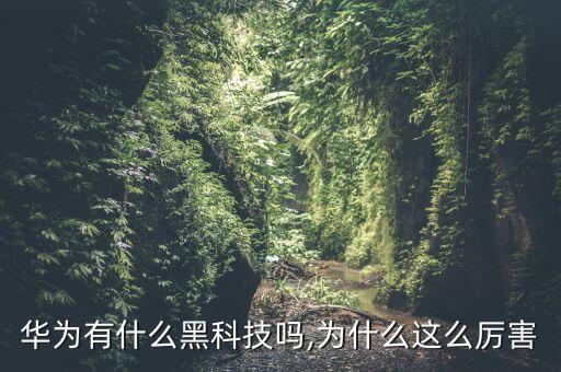 華為有什么黑科技嗎,為什么這么厲害