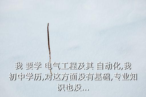 我 要學(xué) 電氣工程及其 自動化,我初中學(xué)歷,對這方面沒有基礎(chǔ),專業(yè)知識也沒...
