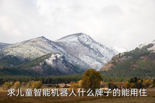 求兒童智能機(jī)器人什么牌子的能用住