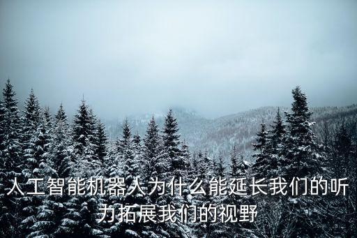 人工智能機器人自創(chuàng)語言,ai智能仿真機器人能與人對話嗎?