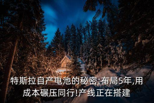 特斯拉自產(chǎn)電池的秘密:布局5年,用成本碾壓同行!產(chǎn)線正在搭建