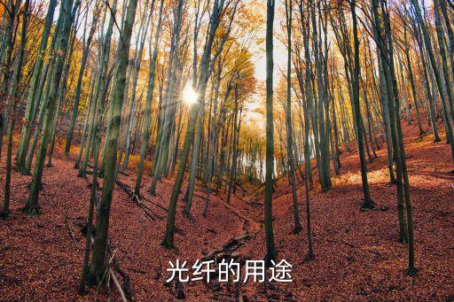  光纖的用途