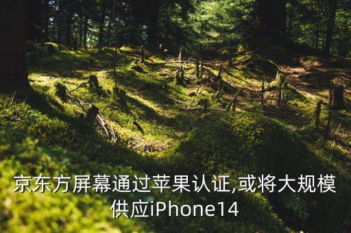 京東方屏幕通過(guò)蘋(píng)果認(rèn)證,或?qū)⒋笠?guī)模供應(yīng)iPhone14