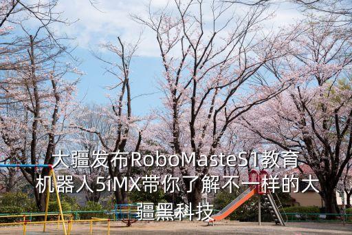機器人格斗 極客