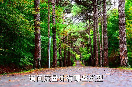 氣體流量計的種類,氣體流量計怎樣選型?看這里!
