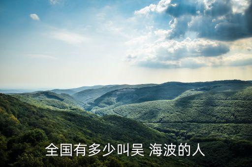 全國有多少叫吳 海波的人