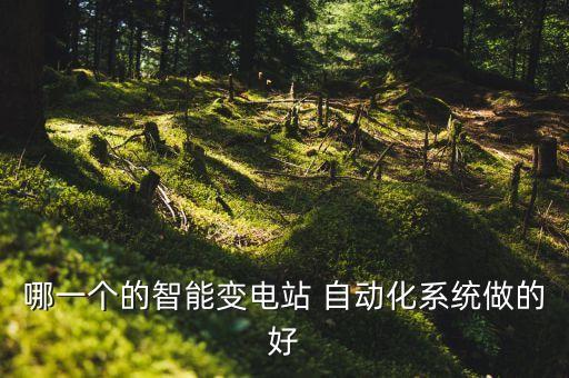 哪一個的智能變電站 自動化系統(tǒng)做的好