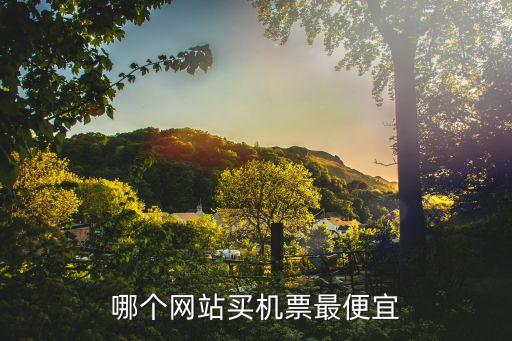 哪個(gè)網(wǎng)站買(mǎi)機(jī)票最便宜