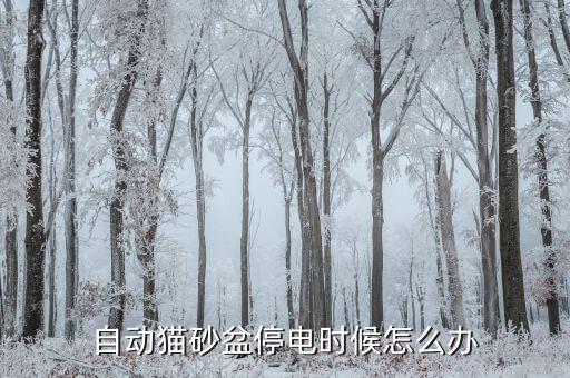 自動(dòng)貓砂盆停電時(shí)候怎么辦