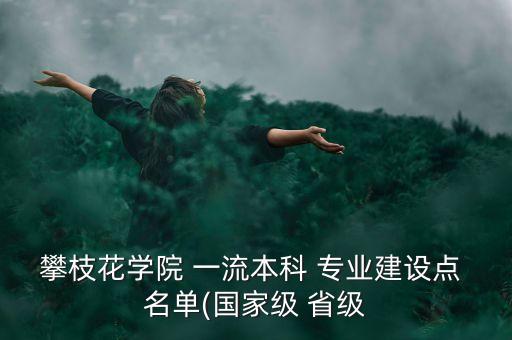 攀枝花學(xué)院 一流本科 專業(yè)建設(shè)點(diǎn) 名單(國(guó)家級(jí) 省級(jí)