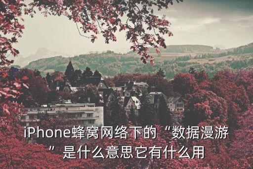 數(shù)據(jù)漫游開了有什么用,數(shù)據(jù)漫游有什么用?