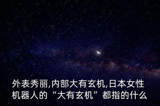 外表秀麗,內(nèi)部大有玄機,日本女性 機器人的“大有玄機”都指的什么