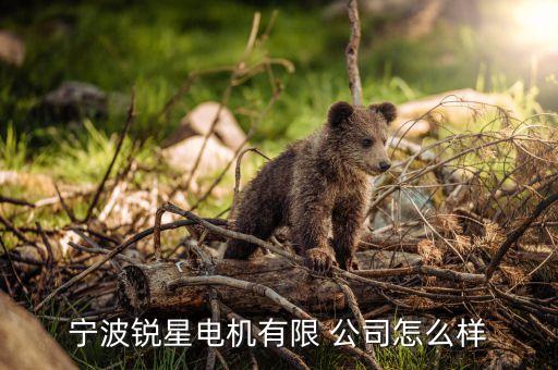 寧波銳星電機有限 公司怎么樣