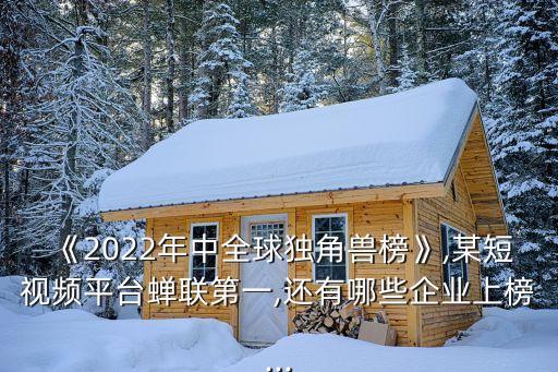 《2022年中全球獨(dú)角獸榜》,某短視頻平臺(tái)蟬聯(lián)第一,還有哪些企業(yè)上榜...
