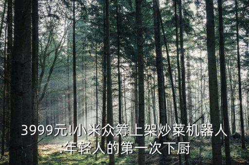 3999元!小米眾籌上架炒菜機器人:年輕人的第一次下廚
