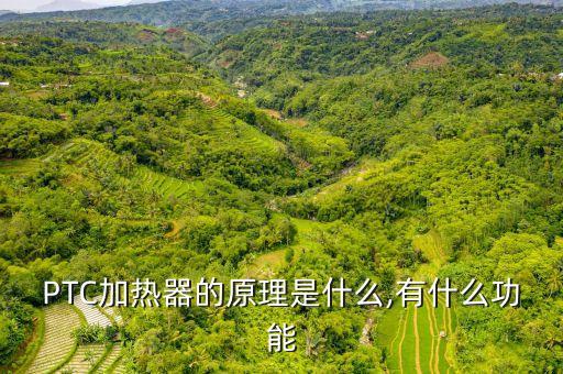 PTC加熱器的原理是什么,有什么功能