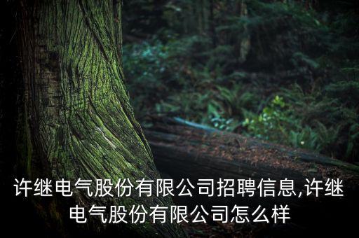 許繼電氣股份有限公司招聘信息,許繼電氣股份有限公司怎么樣