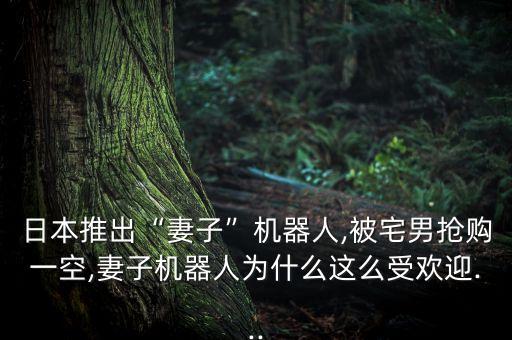 日本推出“妻子”機(jī)器人,被宅男搶購一空,妻子機(jī)器人為什么這么受歡迎...