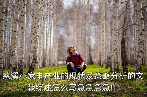 慈溪小家電產(chǎn)業(yè)的現(xiàn)狀及策略分析的文獻(xiàn)綜述怎么寫急急急急!!!