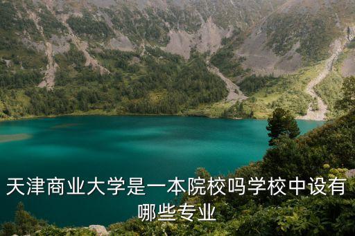 天津商學(xué)院自動化專業(yè),天津商業(yè)大學(xué)的專業(yè)有哪些?