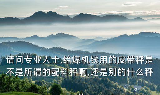 福州自動化配料秤公司電話,塑料混配料系統(tǒng)簡單實用