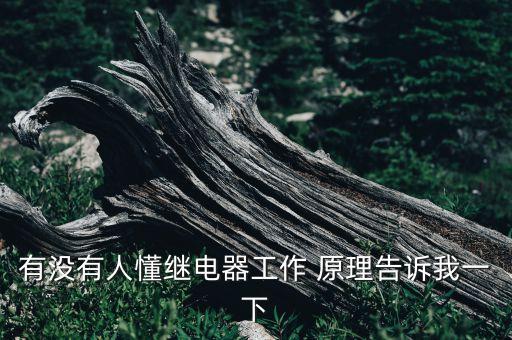 有沒(méi)有人懂繼電器工作 原理告訴我一下