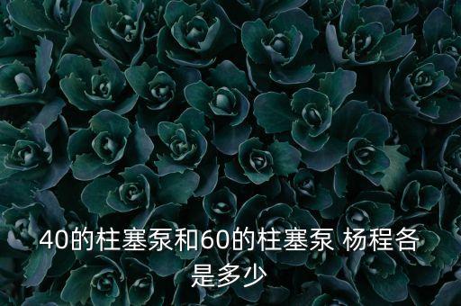 40的柱塞泵和60的柱塞泵 楊程各是多少