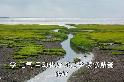 學(xué) 電氣 自動化好還是學(xué) 裝修貼瓷磚好