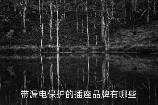 帶漏電保護(hù)的插座品牌有哪些