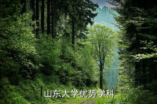 山東電氣自動(dòng)化本科院校,電氣自動(dòng)化的本科院校有哪些