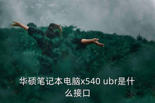 華碩筆記本電腦x540 ubr是什么接口