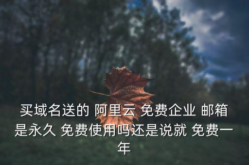 買域名送的 阿里云 免費企業(yè) 郵箱是永久 免費使用嗎還是說就 免費一年