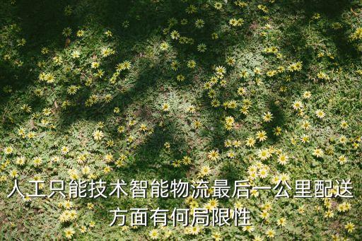 人工只能技術(shù)智能物流最后一公里配送方面有何局限性
