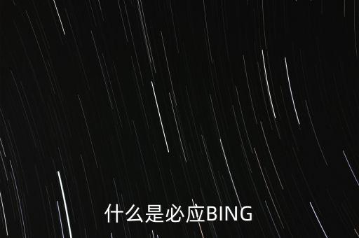 什么是必應(yīng)BING