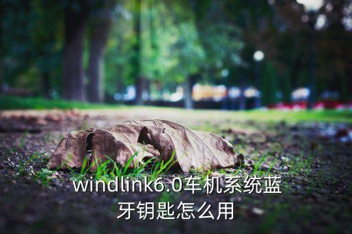  windlink6.0車機系統(tǒng)藍牙鑰匙怎么用